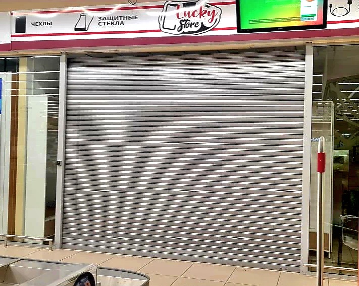 Роллетные ворота DoorHan в Бийске с установкой